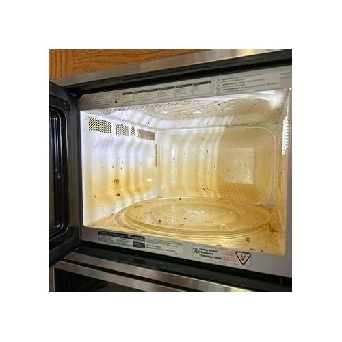 How to Clean Burnt Microwave Stains Using Water